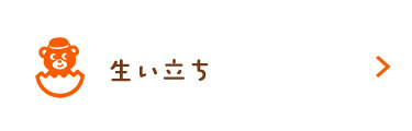 ヒストリー