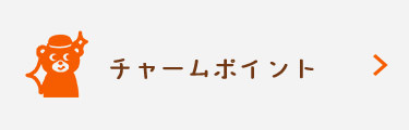 主な特長
